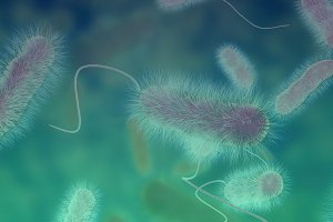 Legionella Awareness Training