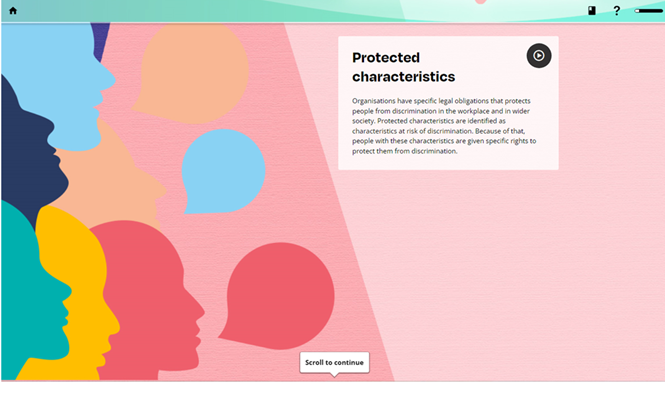 Introducing Equality Impact Assessments screenshot